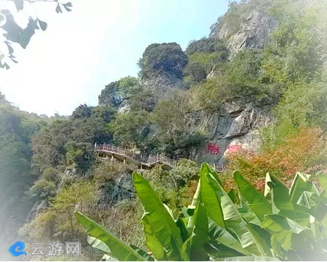汉中黄花河森林公园