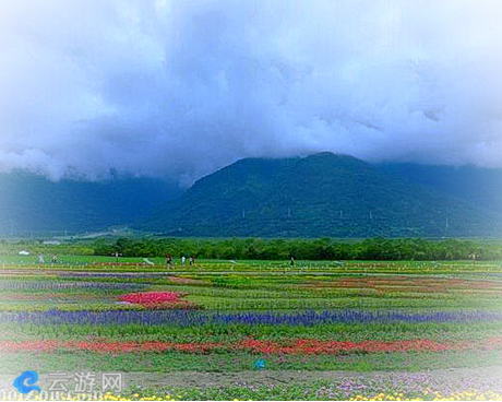 大农大富平地森林园区