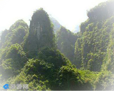 金银山国家森林公园