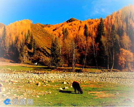博乐哈日图热格风景区