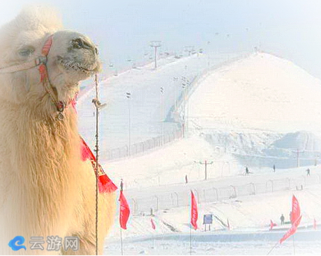 黑油山滑雪场
