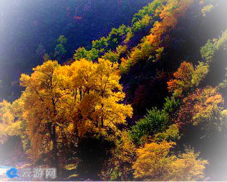 中华福寿山风景区/霍城大西沟