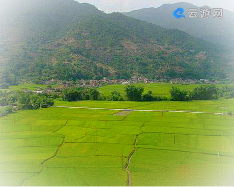 厦门坂头森林公园