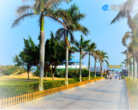 厦门椰风寨