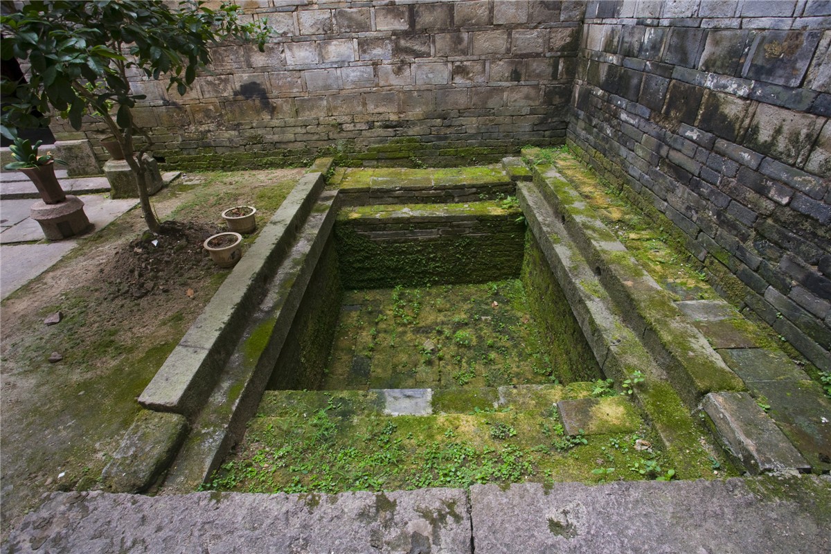 8749.jpg