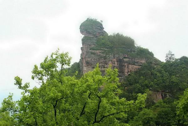 泰宁猫儿山国家森林公园
