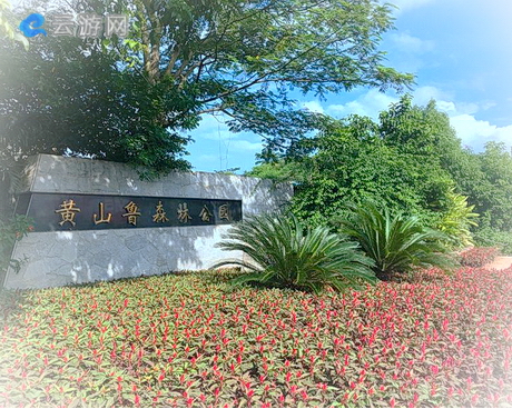 黄山鲁森林公园
