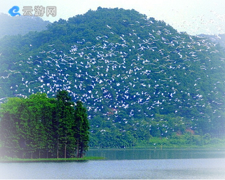 佛山美的鹭湖森林度假区