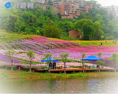 泸州花田酒地景区