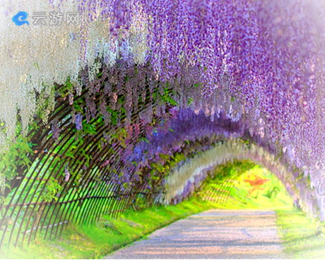 东莞梦幻百花洲