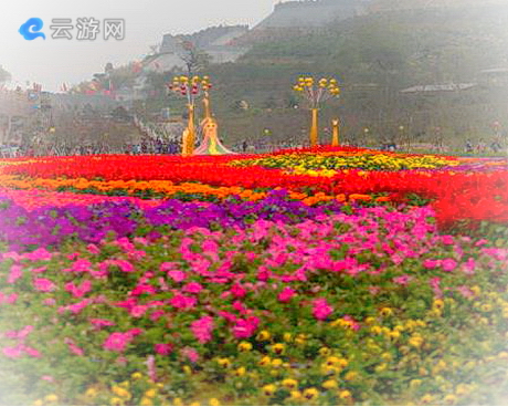 恩平花海欢乐世界