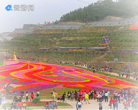 恩平花海欢乐世界