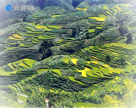 遂昌南尖岩景区