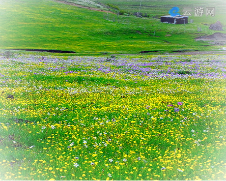 阿坝俄么塘花海风景区