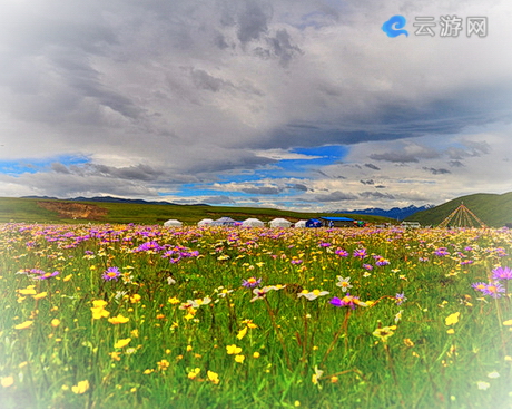 阿坝俄么塘花海风景区
