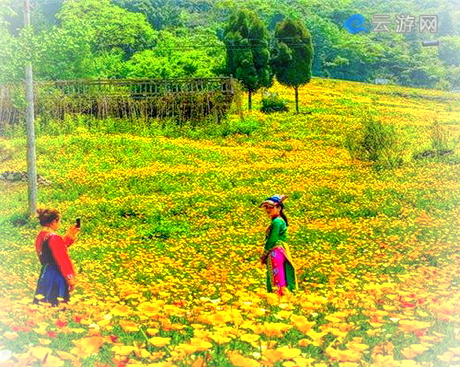 阿坝仁吉喜目谷风景区