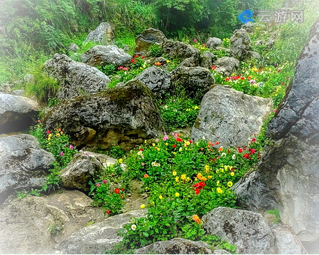 阿坝仁吉喜目谷风景区