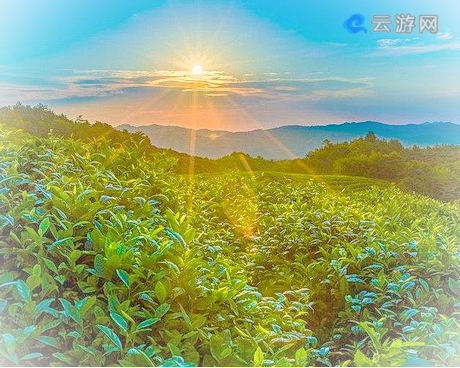 雅安蒙顶山旅游区