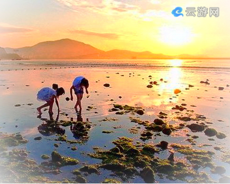 日照刘家湾赶海园