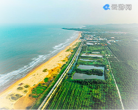 日照海滨国家森林公园