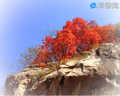 林州仙台山风景区
