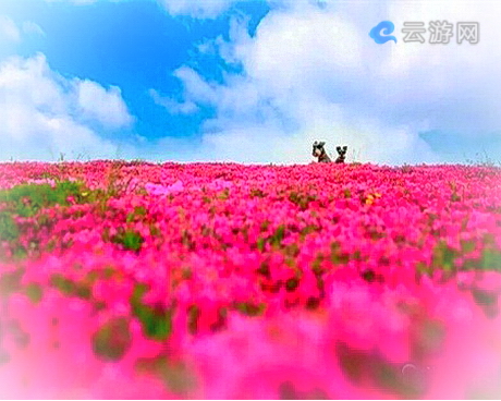 沂源沐心双马山旅游度假区