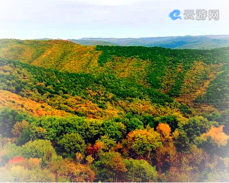 庆阳子午岭景区