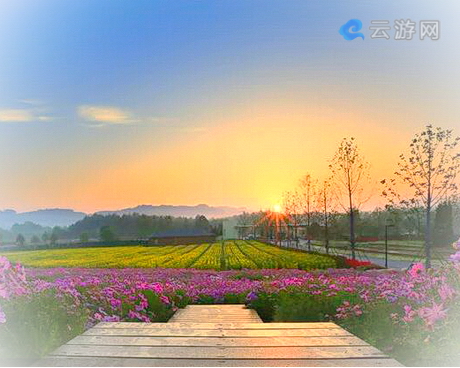 鹰潭龙虎山花语世界景区