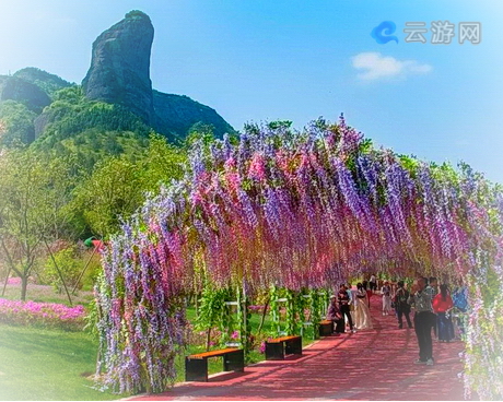 赣州赛石城花乐园