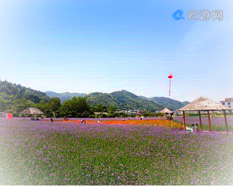 芦溪仙凤三宝农业休闲观光园