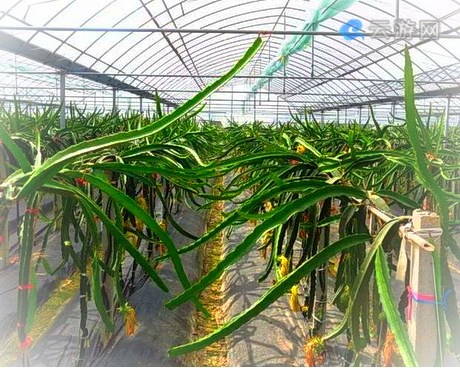 南昌凤凰沟景区