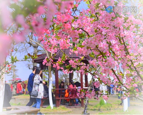 武汉紫薇都市田园
