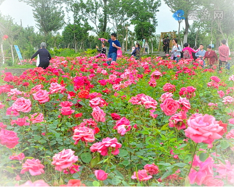 武汉紫薇都市田园