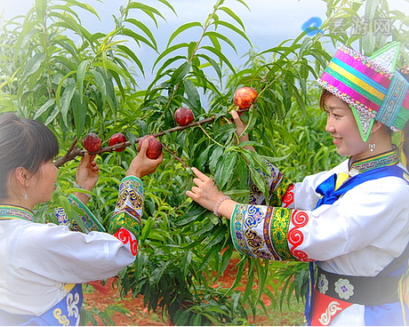 黄陂花乡茶谷旅游度假风景区