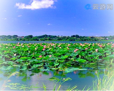 洪湖生态旅游风景区