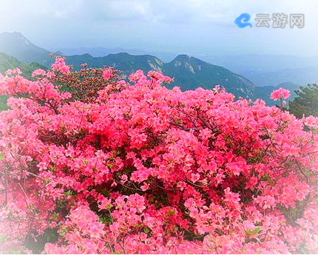英山天马寨风景区