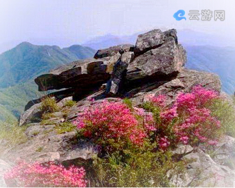 英山天马寨风景区