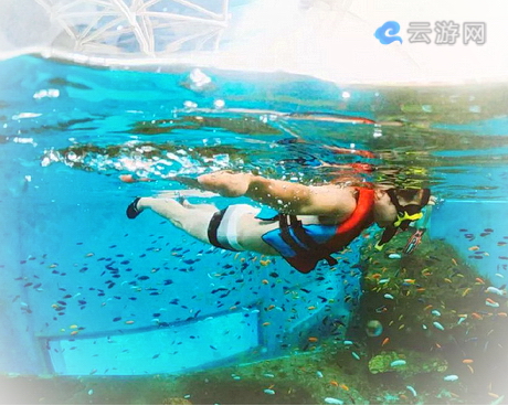 重庆汉海鲸豚湾水世界