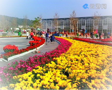 玉林五彩田园乡村生态旅游景区