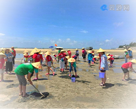 北海红树林欢乐赶海