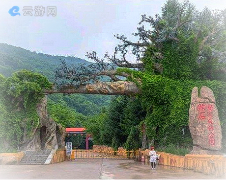 新宾猴石森林公园