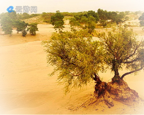康平金沙滩沙漠公园