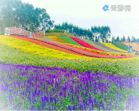 福建十里蓝山景区