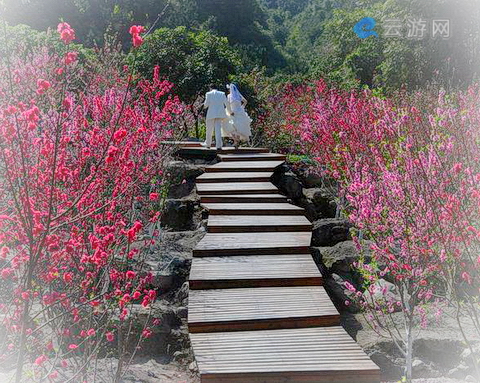 德化桃仙溪景区桃花岛