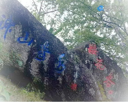 腾冲樱花谷景区