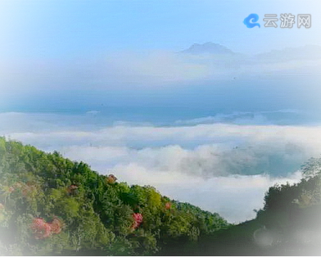 腾冲樱花谷景区
