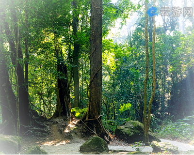 瑞丽莫里热带雨林景区