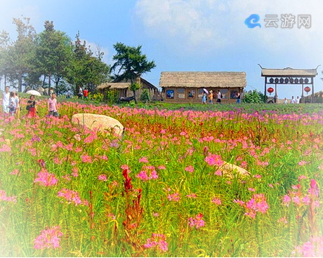 吉林市金珠花海休闲农业旅游区