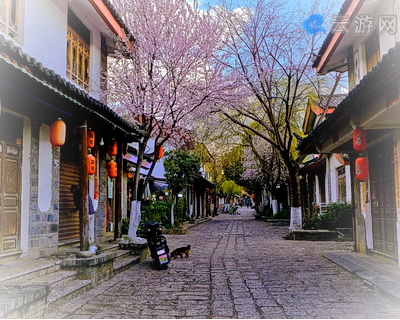 丽江束河古镇