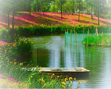 昆山周庄绿乐园